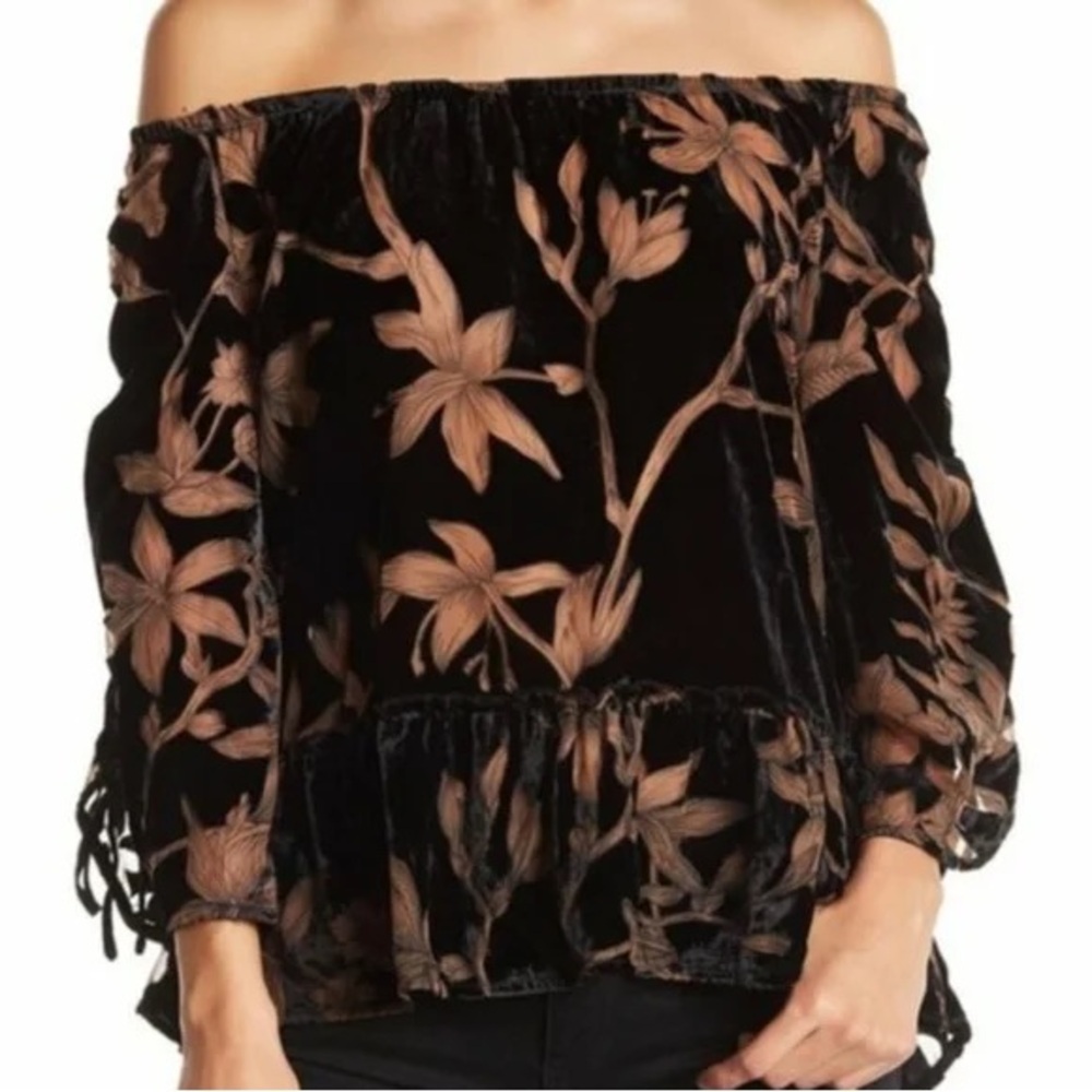 Democracy Black Tan Velvet Burnout Blouse Top Sz L Floral Print Ruffles Sheer